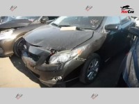 Toyota Corolla - 2011